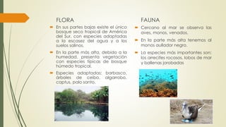 FLORA
 En sus partes bajas existe el único
bosque seco tropical de América
del Sur, con especies adaptadas
a la escasez del agua y a los
suelos salinos.
 En la parte más alta, debido a la
humedad, presenta vegetación
con especies típicas de bosque
húmedo tropical.
 Especies adaptadas: barbasco,
árboles de ceibo, algarrobo,
captus, palo santo.
FAUNA
 Cercano al mar se observa las
aves, monos, venados.
 En la parte más alta tenemos al
monos aullador negro.
 La especies más importantes son:
los arrecifes rocosos, lobos de mar
y ballenas jorobadas
 