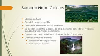 Sumaco Napo Galeras
 Ubicado en Napo
 Creado 2 de Marzo de 1994
 Tiene una superficie de 205.249 hectáreas.
 Se pueden encontrar paisajes de alta montaña: cono de los volcanes
Sumaco, Pan de Azúcar, Cerro Negro.
 Conserva las cuencas de los ríos afluentes: Quijos, Coca y Napo.
 Como sus atractivos tenemos:
 Las cascadas de Guagua Sumaco
 Las cavernas de Guamani
 