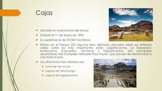 Cajas
 Ubicado en la provincia del Azuay.
 Creado el 11 de Mayo de 1996
 Su superficie es de 29.000 hectáreas.
 Existen en el Parque 232 lagunas bien definidas ubicadas sobre sus extensos
valles; entre las más importantes están Lagartococha, La Toreadora,
Sunincocha, Cascarillas, Ventanas y Tinguishcocha. Son principales
aportadores del Complejo Hidroeléctrico Paute, que provee de electricidad a
casi todo el país.
 Los atractivos más visitados son:
 Loma de tres cruces
 Laguna de Taitachungo
 Laguna de Lagartococha
 