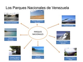 Los Parques Nacionales de Venezuela
PARQUES
NACIONALES
Parque Canaima
Parque el Ávila
Parque Sierra
Nevada
Parque Henri
Pittier
Parque
Mochima
Parque Médanos
De Coro
Parque Laguna
de La Restinga
Parque
Morrocoy
 