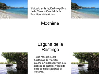 Mochima
Laguna de la
Restinga
Ubicado en la región fisiográfica
de la Cadena Oriental de la
Cordillera de la Costa.
Tiene más de 2.300
hectáreas de mangles
crecen en la laguna y de sus
cientos de canales veinte de
ellos se hallan abiertos al
visitante.
 