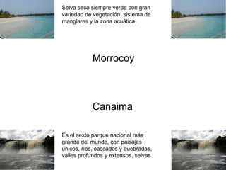 Morrocoy
Canaima
Selva seca siempre verde con gran
variedad de vegetación, sistema de
manglares y la zona acuática.
Es el sexto parque nacional más
grande del mundo, con paisajes
únicos, ríos, cascadas y quebradas,
valles profundos y extensos, selvas.
 