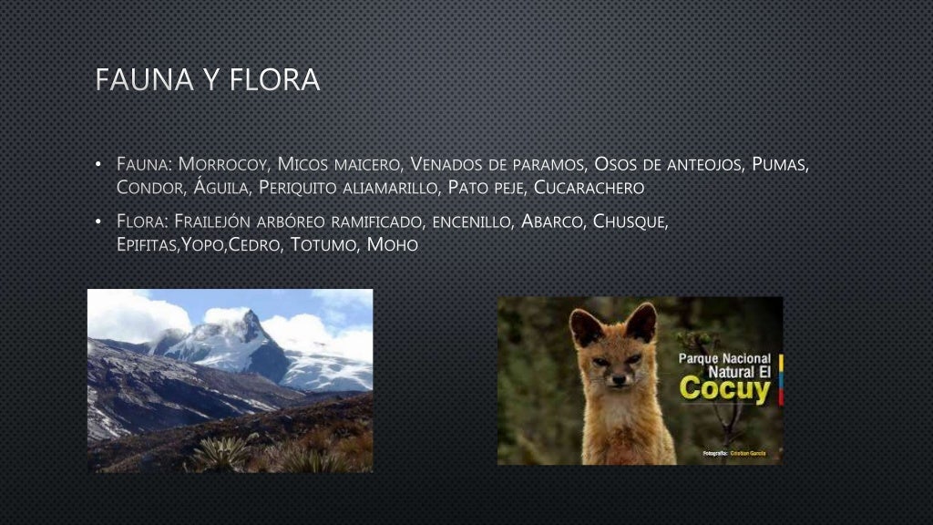Parques nacionales naturales fauna y flora Parques nacionales naturales fauna y flora