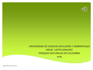UNIVERSDAD DE CIENCIAS APLICADAS Y AMBIENTALES
ANGIE LIZETH SANCHEZ
PARQUES NATURALES DE COLOMBIA
2019
Angie Sánchez 26/09/2019
 