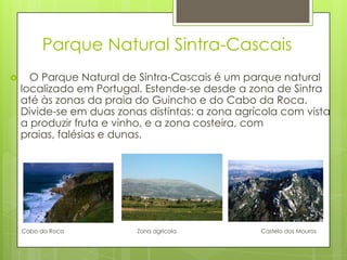 Parque Natural Sintra-Cascais
 O Parque Natural de Sintra-Cascais é um parque natural
localizado em Portugal. Estende-se desde a zona de Sintra
até às zonas da praia do Guincho e do Cabo da Roca.
Divide-se em duas zonas distintas: a zona agrícola com vista
a produzir fruta e vinho, e a zona costeira, com
praias, falésias e dunas.
Cabo da Roca Zona agrícola Castelo dos Mouros
 