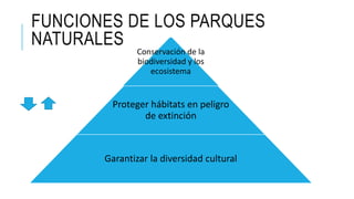 FUNCIONES DE LOS PARQUES
NATURALES
Conservación de la
biodiversidad y los
ecosistema
Proteger hábitats en peligro
de extinción
Garantizar la diversidad cultural
 