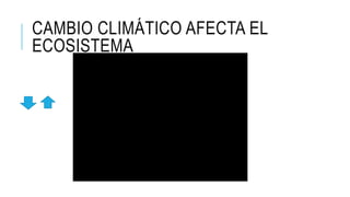 CAMBIO CLIMÁTICO AFECTA EL
ECOSISTEMA
 