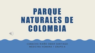 PARQUE
NATURALES DE
COLOMBIA
C A M A C H O R I A Ñ O O M A R S A N T I A G O
M E D I C I N A H U M A N A 1 G R U P O : A
 