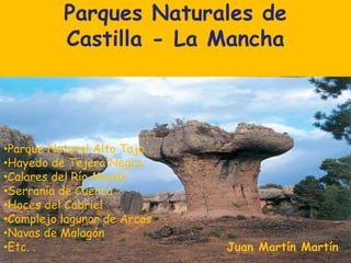 Parques Naturales de 
Castilla - La Mancha 
•Parque Natural Alto Tajo 
•Hayedo de Tejera Negra 
•Calares del Río Mundo 
•Serranía de Cuenca 
•Hoces del Cabriel 
•Complejo lagunar de Arcas 
•Navas de Malagón 
•Etc. . Juan Martín Martín 
 