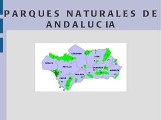 PARQUES NATURALES DE ANDALUCIA 