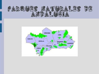 PARQUES NATURALES DE
     ANDALUCIA
 