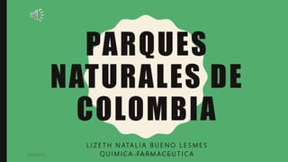 PARQUES
NATURALES DE
COLOMBIA
L I Z E T H N ATA L I A B U E N O L E S M E S
Q U I M I C A FA R M A C E U T I C A08/11/2019 LIZETH NATALIA BUENO LESMES
 