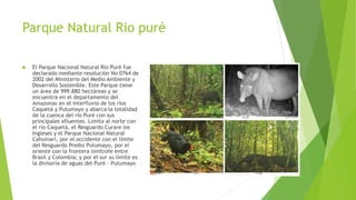Parques naturales de colombia | PPTX