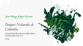 Parques Naturales de
Colombia
Juan Diego López Uyasan
M e d i c i n a 1 H C
Universidad de Ciencias Aplicadas y
Ambientales U.D.C.A
2019
 