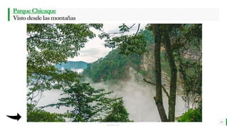 LO MEJOR PARA usted
E M P R E S A D E C O M P U E S T O S
O R G Á N I C O S
ParqueChicaque
Vistodesdelasmontañas
10
 