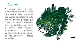 Turismo
A causa de su gran
biodiversidad Colombia atrae
cada año a miles de turistas
que buscan complacer su vista
con los diversos paisajes que
posee. A demás Colombia
ofrece actividades tales como
el buceo, para visualizar
ecosistemas acuáticos,
avistamiento de aves exóticas
en los diferentes Parques
Naturales.
 