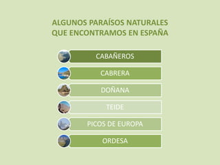 CABAÑEROS
CABRERA
DOÑANA
TEIDE
PICOS DE EUROPA
ORDESA
ALGUNOS PARAÍSOS NATURALES
QUE ENCONTRAMOS EN ESPAÑA
 