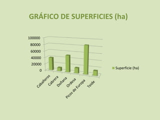 GRÁFICO DE SUPERFICIES (ha)
0
20000
40000
60000
80000
100000
Superficie (ha)
 