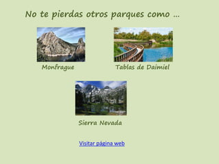 No te pierdas otros parques como …
Monfrague Tablas de Daimiel
Sierra Nevada
Visitar página web
 