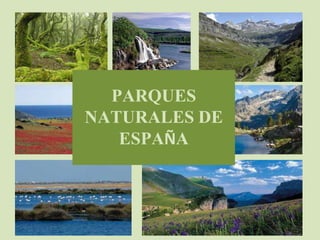 PARQUES
NATURALES DE
ESPAÑA
 