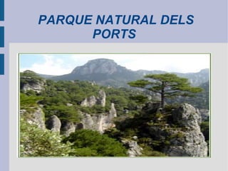 PARQUE NATURAL DELS PORTS 