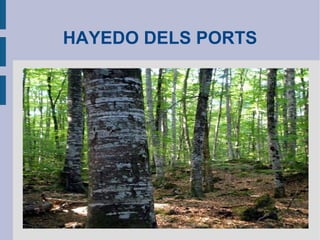 HAYEDO DELS PORTS 