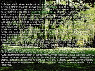 El Parque Nacional Natural Farallones de Cali es una de las 56 áreas protegidas del
sistema de Parques Nacionales Naturales de Colombia y una de las más antiguas, creada
en 1968. Es igualmente una de las más importantes áreas protegidas del país, ya que por
hallarse dentro de la zona del Chocó biogeográfico es una de las más diversas
faunísticamente. Se encuentra situado en el departamento del Valle del Cauca. El parque
se encuentra en medio de la Cordillera Occidental, por lo cual es una de las zonas mas
quebradas del país. Está formado por un conjunto de montañas que separan las aguas de
las cuencas del Pacífico de las que fluyen hacia el río Cauca. El parque posee cuatro
pisos térmicos en los que sobresale una vegetación higrofítica o higrófila, más densa en el
piedemonte del litoral pacífico.
El parque consta de 4 ecosistemas: bosque subandino húmedo (entre 200 y 1.200 metros
de altitud), bosque andino húmedo (entre 1.200 y 2.000 metros sobre el nivel del mar),
bosque altoandino húmedo (entre 2.000 y 3.500 metros de altitud) y páramo (con altitudes
superiores a los 3.500 metros).
En la época de la conquista la planicie del alto Valle del Cauca estaba densamente
poblada por indígenas, gran parte de los cuales pertenecían a la tribu de los Gorrones. En
la vertiente oriental de la Cordillera Occidental habitaban los Timba, posiblemente
pertenecientes a la familia lingüística Chibchas. En la cuenca del río Jamundi, que deben
su nombre al cacique Xamundi; en la cuenca de Pance, habitaban los Panci o Pance y en la
planicie adyacente a la margen izquierda del río Cauca, los Guaciales o Guachales.
Actualmente en el parque hay un pequeño reducto de indígenas Cholos del grupo Chocó,
ubicado en las partes bajas de los ríos, hacia el Pacífico. También existen otros pequeños
grupos aborígenes, tales como los Páez, los Nasa, Inga y Emberá-Chamí. Las comunidades
afroamericanas también son un grupo importante que habita en las zonas aledañas de los
farallones.
 