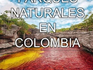 PARQUES
NATURALES
EN
COLOMBIA
 