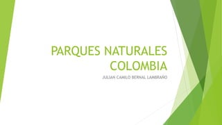 PARQUES NATURALES
COLOMBIA
JULIAN CAMILO BERNAL LAMBRAÑO
 