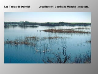 Las Tablas de Daimiel Localización: Castilla la Mancha , Albacete.