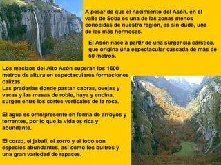 A pesar de que el nacimiento del Asón, en el valle de Soba es una de las zonas menos conocidas de nuestra región, es sin duda, una de las más hermosas.  El Asón nace a partir de una surgencia cárstica, que origina una espectacular cascada de más de 50 metros. Los macizos del Alto Asón superan los 1600 metros de altura en espectaculares formaciones calizas.  Las praderías donde pastan cabras, ovejas y vacas y las masas de roble, haya y encina, surgen entre los cortes verticales de la roca.  El agua es omnipresente en forma de arroyos y torrentes, por lo que la vida es rica y abundante.  El corzo, el jabalí, el zorro y el lobo son especies abundantes, así como los buitres y una gran variedad de rapaces. 