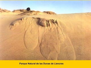 Parque Natural de las Dunas de Liencres 