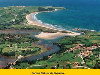 Parque Natural de Oyambre 