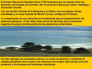 El Parque Natural de Oyambre tiene 5.758 hectáreas que se reparte entre los términos municipales de Comillas, San Vicente de la Barquera, Udías, Valdáliga y Val de San Vicente. Las rías de San Vicente de la Barquera y La Rabía, con sus playas, dunas, acantilados y la masa forestal de Monte Corona, configuran el Parque. Un claro ejemplo de ecosistema natural, en el que se aprecian y combinan la calidad paisajística de la costa y los estuarios con el gran valor de las zonas de praderías y los bosques de frondosas autóctonas. La conservación de sus estuarios es fundamental para el mantenimiento del potencial pesquero, al ser estas áreas zonas de alevinaje para numerosas especies de peces constituyentes de las pesquerías comerciales.  