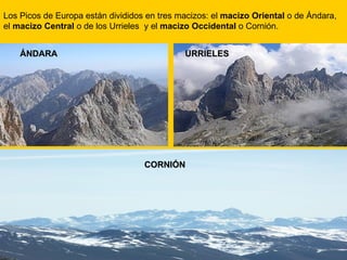 Los Picos de Europa están divididos en tres macizos: el  macizo Oriental  o de Ándara, el  macizo Central  o de los Urrieles  y el  macizo Occidental  o Cornión.  ÁNDARA CORNIÓN URRIELES 