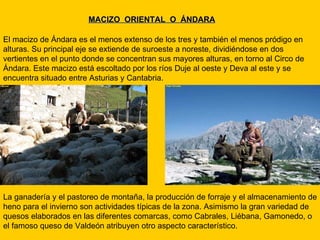 MACIZO  ORIENTAL  O  ÁNDARA El macizo de Ándara es el menos extenso de los tres y también el menos pródigo en alturas. Su principal eje se extiende de suroeste a noreste, dividiéndose en dos vertientes en el punto donde se concentran sus mayores alturas, en torno al Circo de Ándara. Este macizo está escoltado por los ríos Duje al oeste y Deva al este y se encuentra situado entre Asturias y Cantabria. La ganadería y el pastoreo de montaña, la producción de forraje y el almacenamiento de heno para el invierno son actividades típicas de la zona. Asimismo la gran variedad de quesos elaborados en las diferentes comarcas, como Cabrales, Liébana, Gamonedo, o el famoso queso de Valdeón atribuyen otro aspecto característico. 