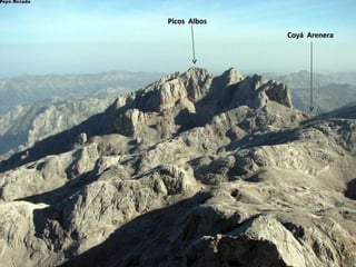 Picos  Albos Coyá  Arenera 