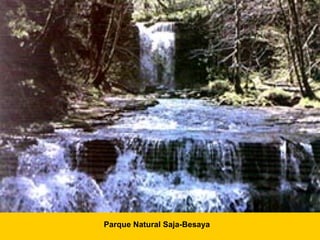 Parque Natural Saja-Besaya 