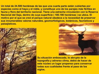 Un total de 24.500 hectáreas de las que una cuarta parte están cubiertas por especies como el haya y el roble, y constituye uno de los parajes más fértiles en fauna y flora del territorio nacional. Tiene una estrecha vinculación con la Reserva Nacional del Saja, dentro de cuya superficie ( 180.186 hectáreas ) se ubica. El motivo por el que se creó el parque natural obedece a la necesidad de preservar sus innumerables valores naturales, geomorfológicos, botánicos, faunísticos y paisajísticos.  Su situación emboscada, lo abrupto de la topografía y adverso clima, debió de hacer de este núcleo un lugar propenso para conservar todas sus cualidades frente al paso de los siglos. 