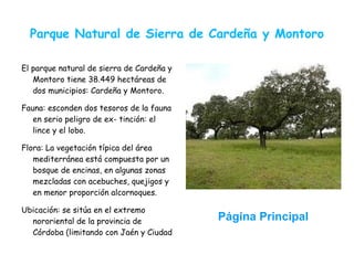 Parque Natural de Sierra de Cardeña y Montoro

El parque natural de sierra de Cardeña y
   Montoro tiene 38.449 hectáreas de
   dos municipios: Cardeña y Montoro.

Fauna: esconden dos tesoros de la fauna
   en serio peligro de ex- tinción: el
   lince y el lobo.

Flora: La vegetación típica del área
   mediterránea está compuesta por un
   bosque de encinas, en algunas zonas
   mezcladas con acebuches, quejigos y
   en menor proporción alcornoques.

Ubicación: se sitúa en el extremo
  nororiental de la provincia de           Página Principal
  Córdoba (limitando con Jaén y Ciudad
 