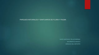 PARQUES NATURALES Y SANTUAROS DE FLORA Y FAUNA
DAVID SANTIAGO TELLEZ BERNAL
INFORMATICA BASICA
CIENCIAS DEL DEPORTE
 