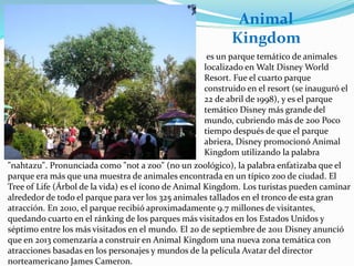 es un parque temático de animales
localizado en Walt Disney World
Resort. Fue el cuarto parque
construido en el resort (se inauguró el
22 de abril de 1998), y es el parque
temático Disney más grande del
mundo, cubriendo más de 200 Poco
tiempo después de que el parque
abriera, Disney promocionó Animal
Kingdom utilizando la palabra
"nahtazu". Pronunciada como "not a zoo" (no un zoológico), la palabra enfatizaba que el
parque era más que una muestra de animales encontrada en un típico zoo de ciudad. El
Tree of Life (Árbol de la vida) es el ícono de Animal Kingdom. Los turistas pueden caminar
alrededor de todo el parque para ver los 325 animales tallados en el tronco de esta gran
atracción. En 2010, el parque recibió aproximadamente 9.7 millones de visitantes,
quedando cuarto en el ránking de los parques más visitados en los Estados Unidos y
séptimo entre los más visitados en el mundo. El 20 de septiembre de 2011 Disney anunció
que en 2013 comenzaría a construir en Animal Kingdom una nueva zona temática con
atracciones basadas en los personajes y mundos de la película Avatar del director
norteamericano James Cameron.
Animal
Kingdom
 