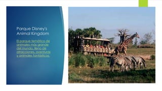Parque Disney's
Animal Kingdom
El parque temático de
animales más grande
del mundo, lleno de
atracciones, aventuras
y animales fantásticos.
 