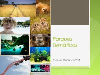 Parques
Temáticos

Tamara Machuca 2bA
 