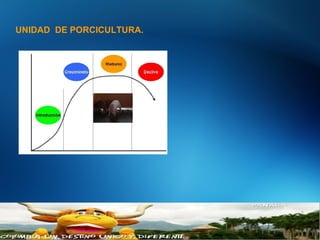 UNIDAD DE PORCICULTURA.
17Abbott Confidental
© 2012-2013 Abbott
 