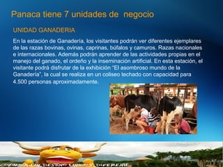 Panaca tiene 7 unidades de negocio
UNIDAD GANADERIA
En la estación de Ganadería, los visitantes podrán ver diferentes ejemplares
de las razas bovinas, ovinas, caprinas, búfalos y camuros. Razas nacionales
e internacionales. Además podrán aprender de las actividades propias en el
manejo del ganado, el ordeño y la inseminación artificial. En esta estación, el
visitante podrá disfrutar de la exhibición “El asombroso mundo de la
Ganadería”, la cual se realiza en un coliseo techado con capacidad para
4.500 personas aproximadamente.
6
 