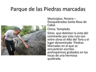 Parque de las Piedras marcadas
              Municipios: Pereira –
              Dosquebradas-Santa Rosa de
              Cabal.
              Clima: Templado
              Sitios que deleitan la vista del
              caminante por esta ruta son
              entre otros el Alto del Toro y el
              lugar denominado Piedras
              Marcadas en el que se
              encuentran escritos
              prehispánicos grabados en las
              rocas de una hermosa
              quebrada.
 