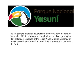 Es un parque nacional ecuatoriano que se extiende sobre un
área de 9820 kilómetros cuadrados en las provincias
de Pastaza, y Orellana entre el río Napo y el río Curaray en
plena cuenca amazónica a unos 250 kilómetros al sureste
de Quito.
 