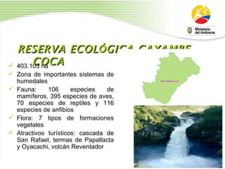 RESERVA ECOL Ó GICA CAYAMBE COCA   403.103 ha  Zona de importantes sistemas de humedales Fauna: 106 especies de mam í feros, 395 especies de aves, 70 especies de reptiles y 116 especies de anfibios  Flora: 7 tipos de formaciones vegetales Atractivos tur í sticos: cascada de San Rafael, termas de Papallacta y Oyacachi, volc á n Reventador 