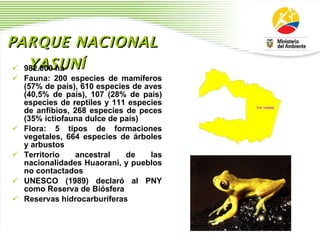 PARQUE NACIONAL YASUN Í 982.000 ha  Fauna: 200 especies de mam í feros (57% de pa í s), 610 especies de aves (40,5% de pa í s), 107 (28% de pa í s) especies de reptiles y 111 especies de anfibios, 268 especies de peces (35% ictiofauna dulce de pa í s)  Flora: 5 tipos de formaciones vegetales, 664 especies de  á rboles y arbustos Territorio ancestral de las nacionalidades Huaorani, y pueblos no contactados UNESCO (1989) declar ó  al PNY como Reserva de Bi ó sfera Reservas hidrocarbur í feras 